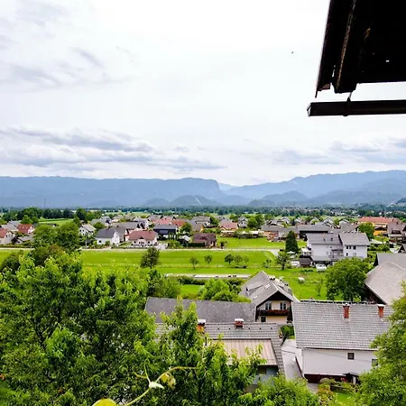With View *